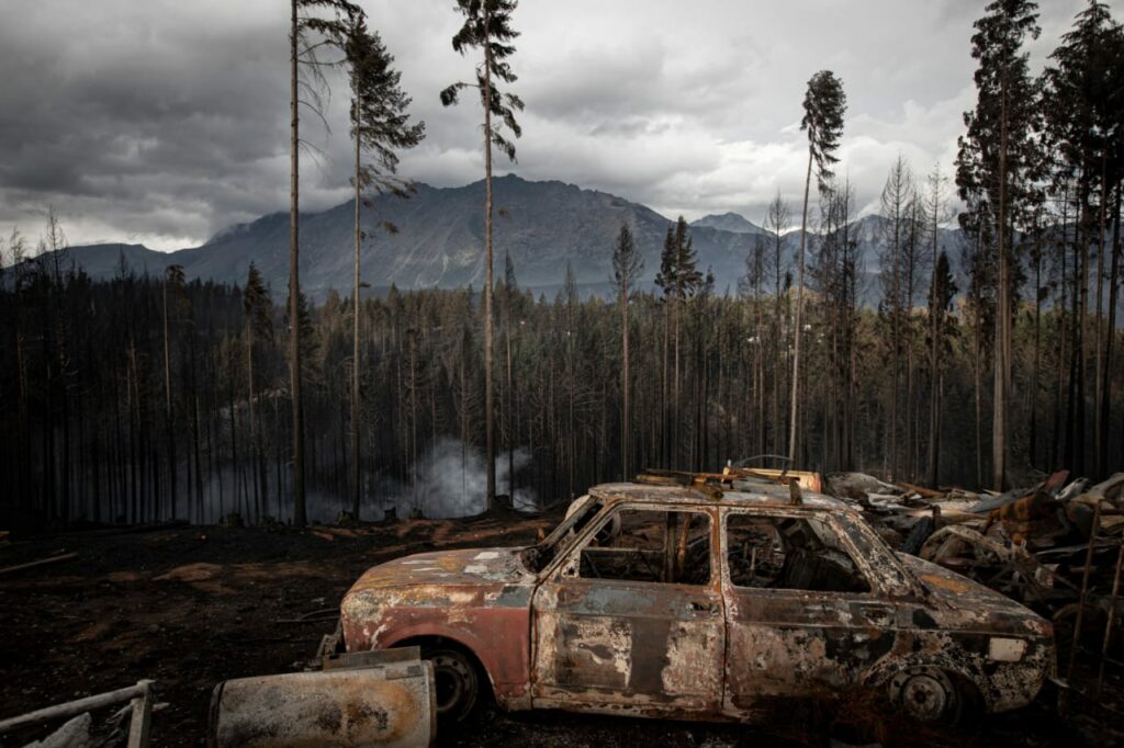 El cáñamo, una solución para combatir y prevenir incendios en la Patagonia